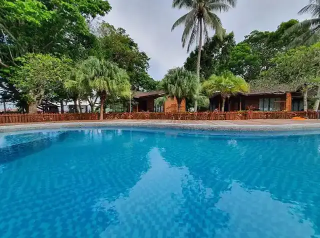 Swimming pool at Borneo Divers Mabul Resort with timber chalets and palms behind it